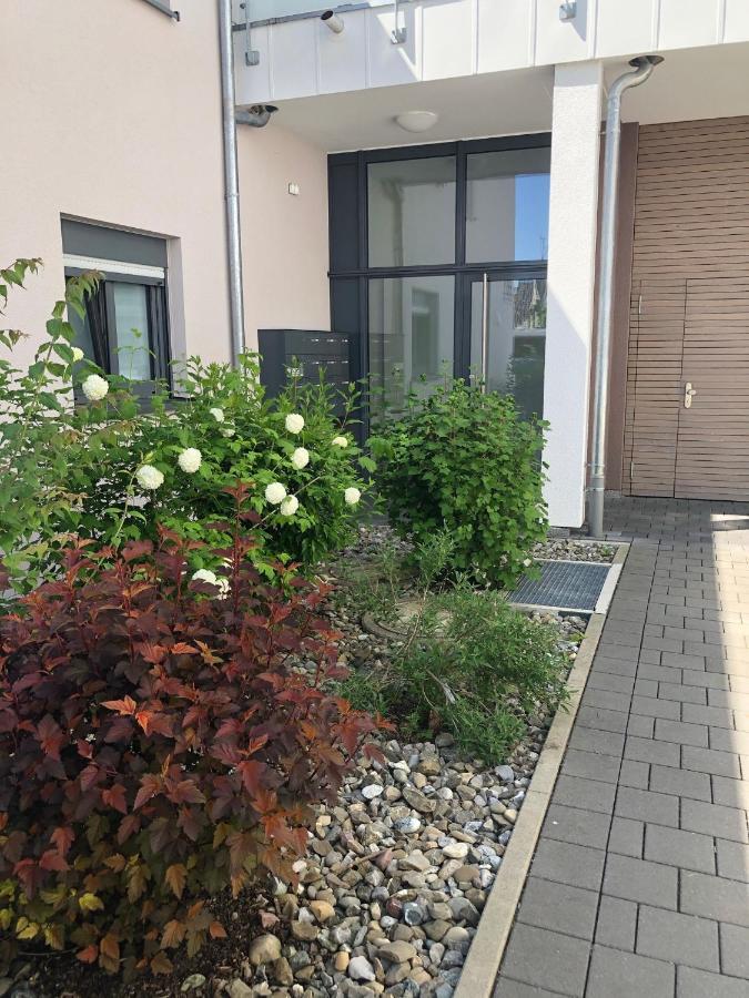 Seestern Apartment フリードリヒスハーフェン エクステリア 写真